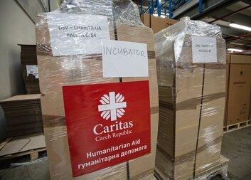 В Україні допоможуть інкубатори, надіслані Карітасом