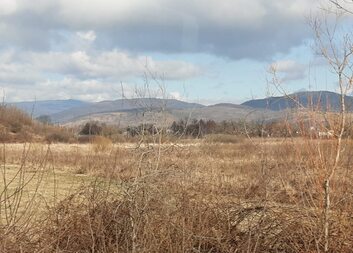 Україна потребуватиме десятки років на відновлення довкілля від наслідків війни 