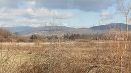 Україна потребуватиме десятки років на відновлення довкілля від наслідків війни 