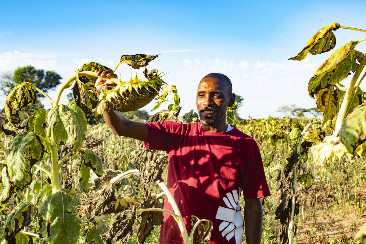 Завдяки Caritas Czech Republic Міністерство сільського господарства Замбії навчило 40 000 фермерів Завдяки Caritas Czech Republic Міністерство сільського господарства Замбії навчило 40 000 фермерів
