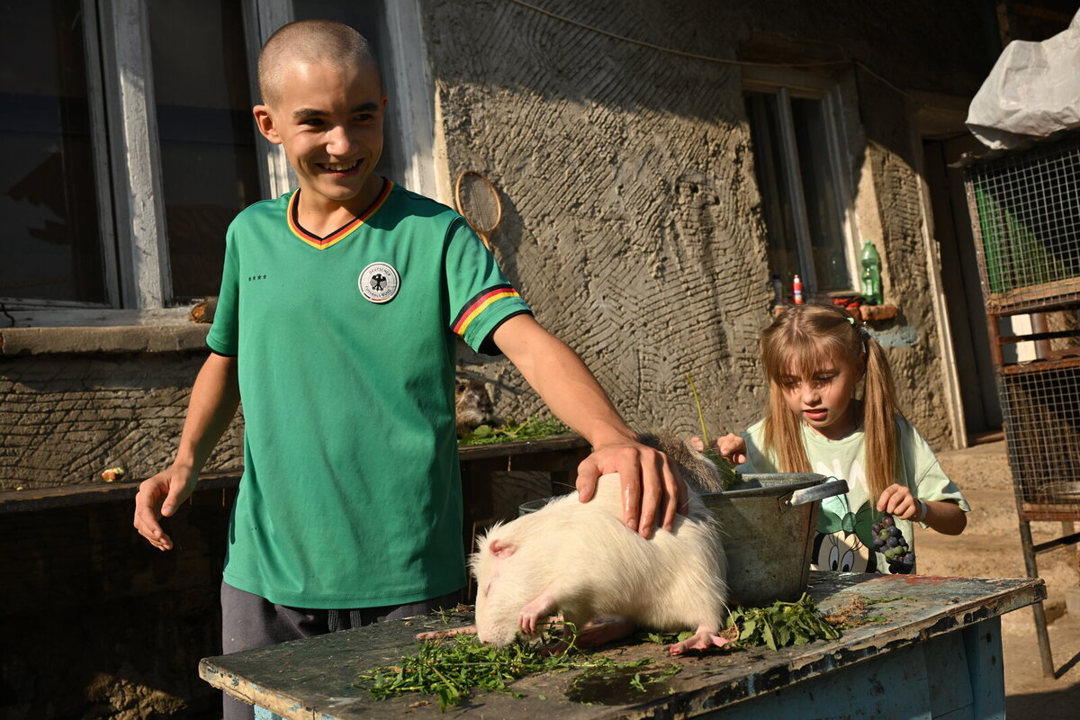 Animals play an important role in helping children recover from war trauma Animals play an important role in helping children recover from war trauma