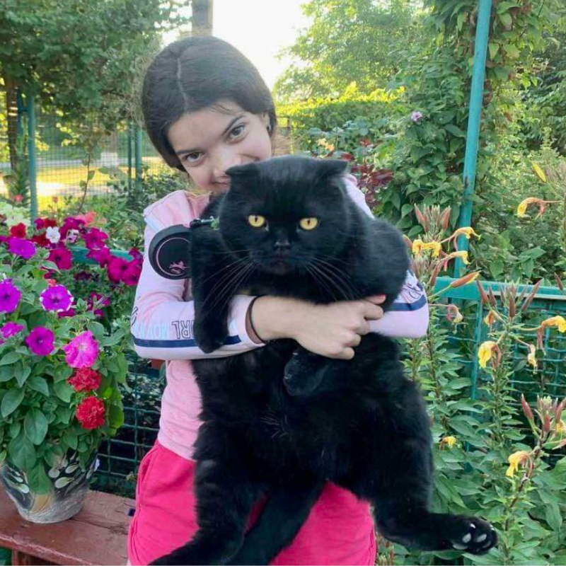 Аміра любить відпочивати з домашніми улюбленцями і читати Оноре де Бальзака Аміра любить відпочивати з домашніми улюбленцями і читати Оноре де Бальзака